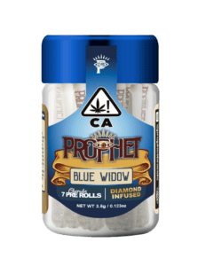 Prophet Cherub Blue Widow jar