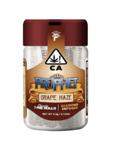 Prophet Cherub Grape Haze jar