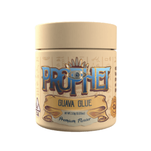 Prophet indoor flower jar, Guava Glue