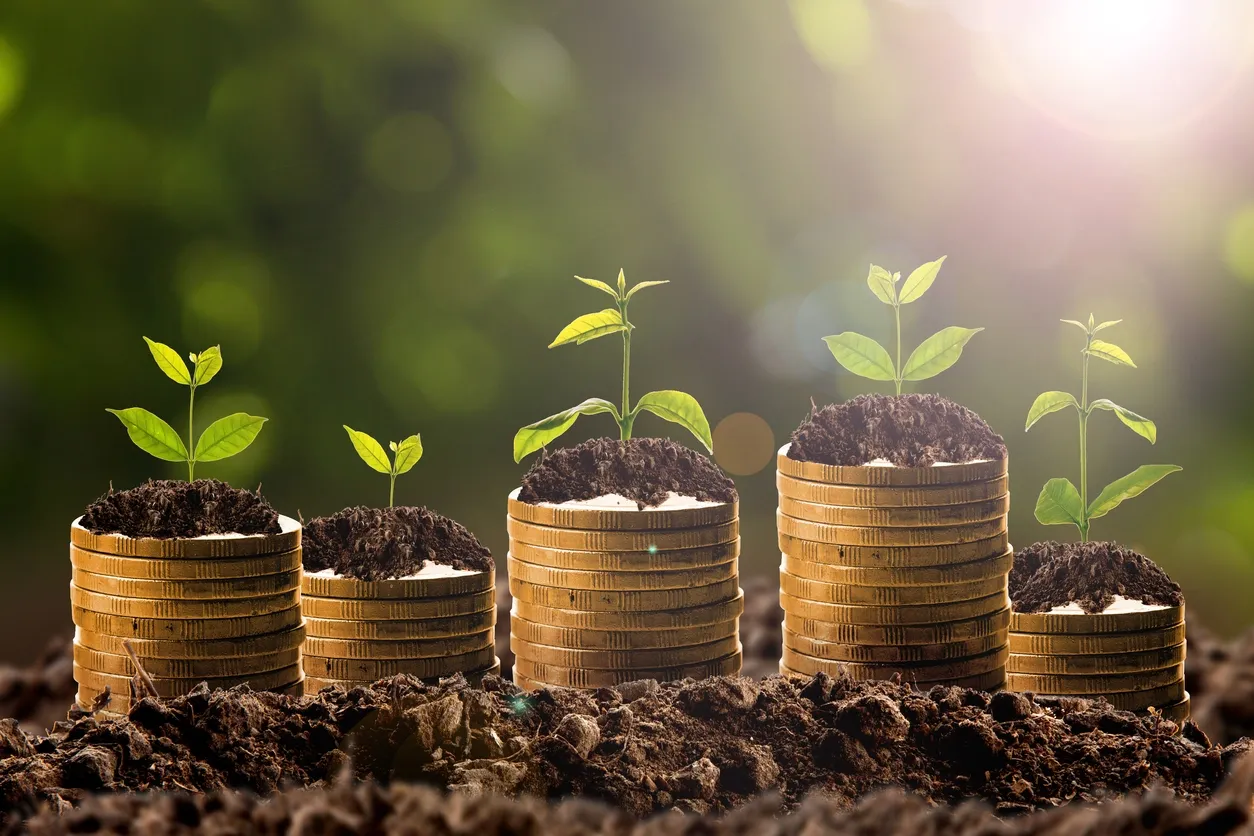 Seedlings sprouting from stacks of coins